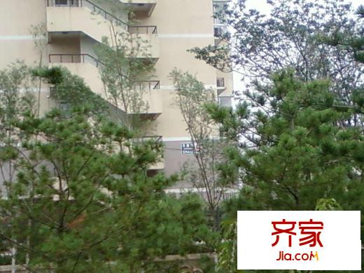 志新西路1号院外景图小区绿化