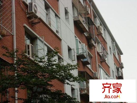 枣营西里外景图