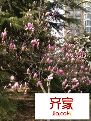 圣馨大地家园外景图