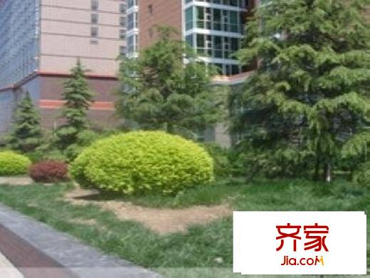 马甸经典家园外景图绿地