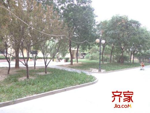 碧水星阁外景图