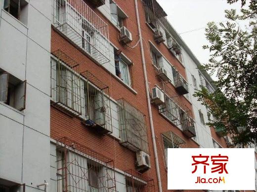 枣营西里外景图