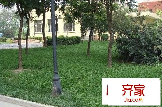 碧水星阁外景图绿化