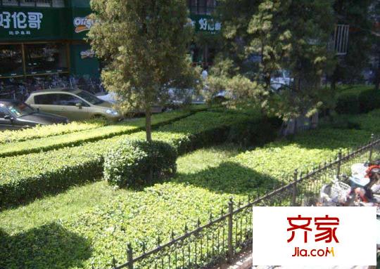 物华大厦外景图