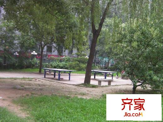 向军南里外景图小区绿化