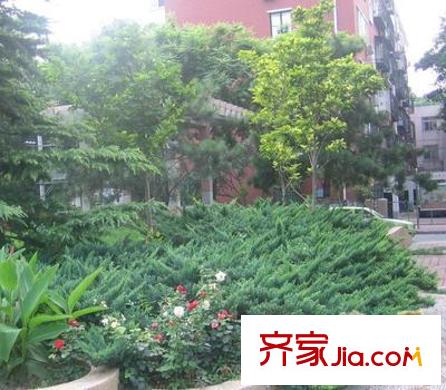 小南庄配套图外景图