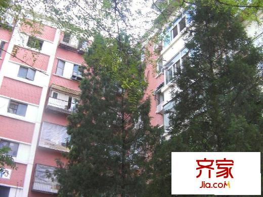 白纸坊北里外景图小区楼房图