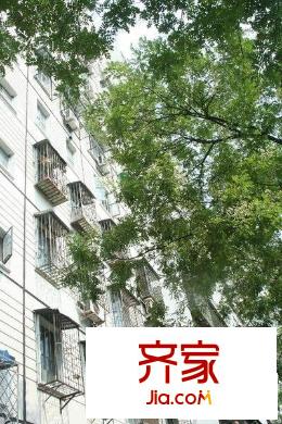 劲松九区外景图楼房