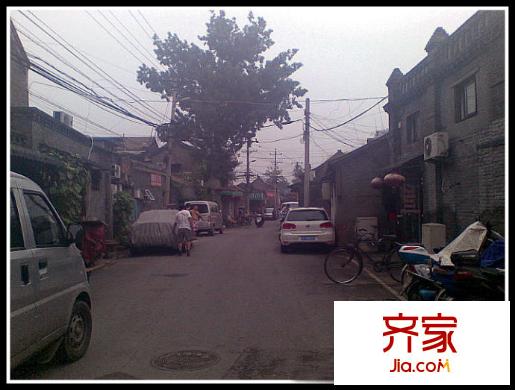 鐵樹斜街外景圖