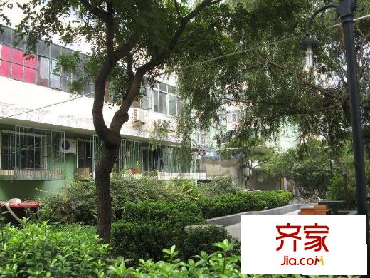 花园北路32号院外景图小区绿化