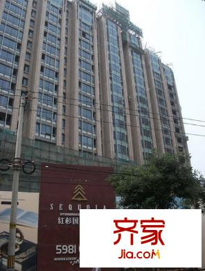 红杉国际公寓实景图 2012.10.24