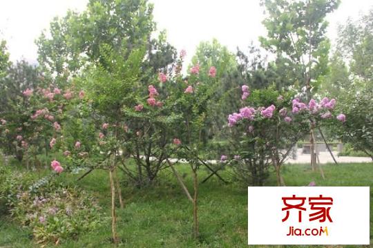 红杉国际公寓外景图