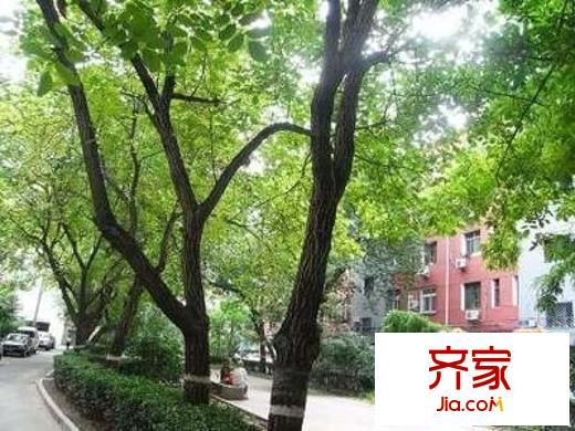地坛北里外景图