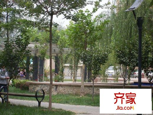 左家庄西街外景图花园