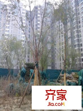 中信城三期外景圖 