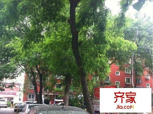 翠微南里外景图