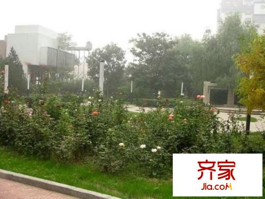旭风苑外景图
