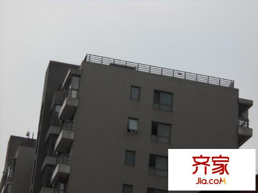 一栋苑外景图楼盘图