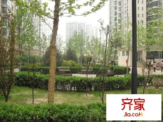 珠江罗马嘉园四期外景图