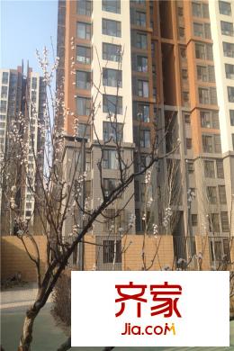 住总万科金域华府实景图楼栋2015.03