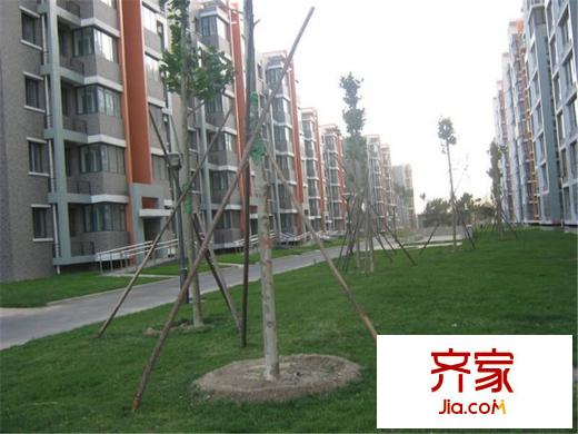 观林园外景图