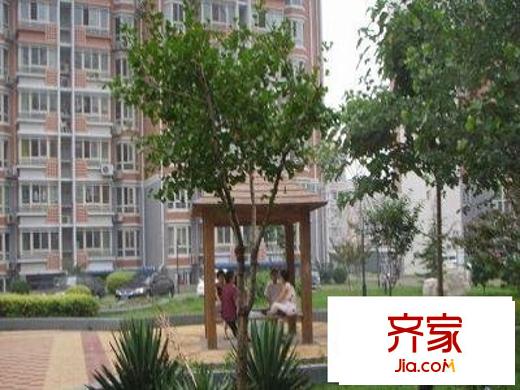 马家堡67号院外景图绿化