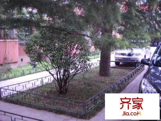 万寿路20号院外景图绿化图