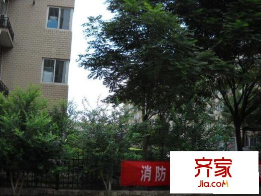 金庄小区外景图
