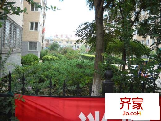 金庄小区外景图