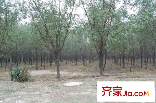 观林园配套图小区外景