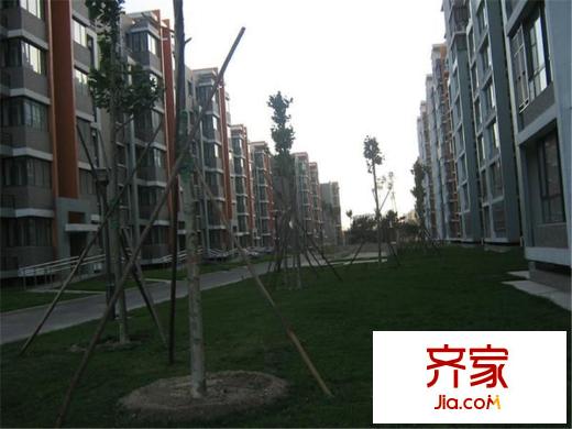 观林园外景图