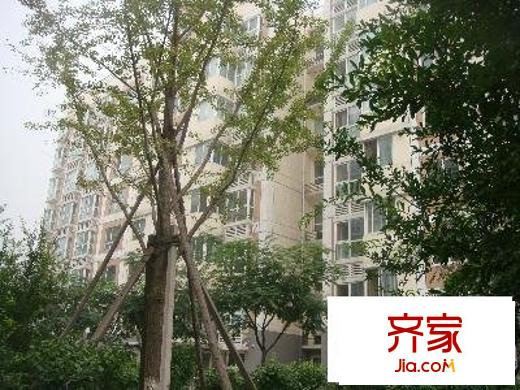 梅源里小区外景图绿化