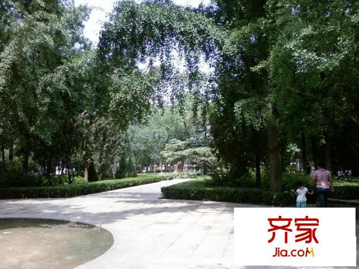 朝陽庵小區(qū)外景圖花園小徑