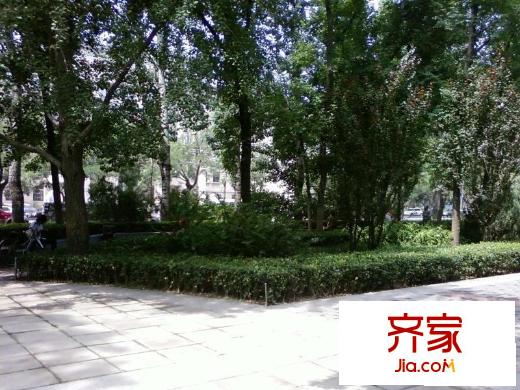 朝陽庵小區(qū)外景圖花園小徑