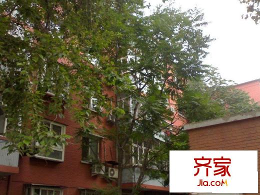 造甲南里外景图实景图