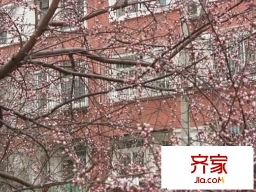 花园路14号院外景图花园路14号楼