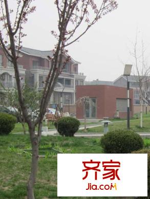 檀香山别墅实景图社区2013.4
