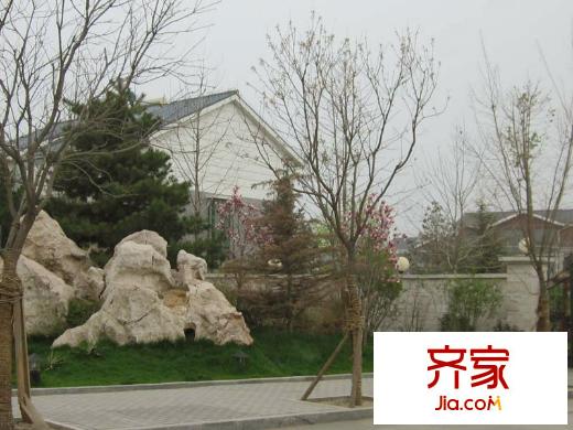 檀香山别墅实景图小区2010.5.19