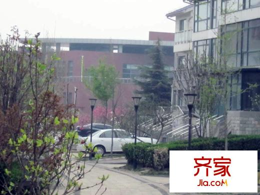 檀香山别墅实景图小区2010.5.19