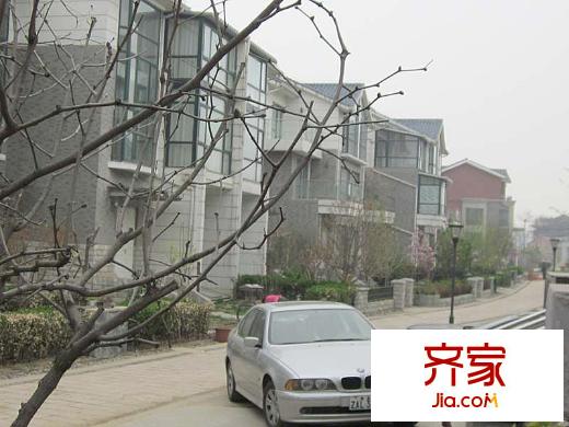 檀香山别墅实景图小区2010.5.19