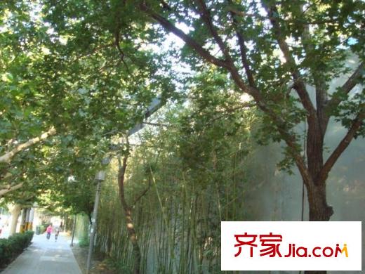 山水文园三期配套图周边