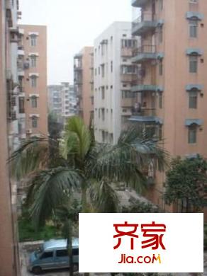 石桥新东区外景图