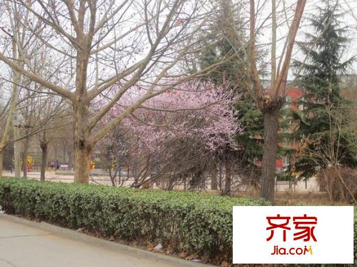 半步橋13號院外景圖