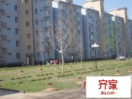 林荫家园外景图