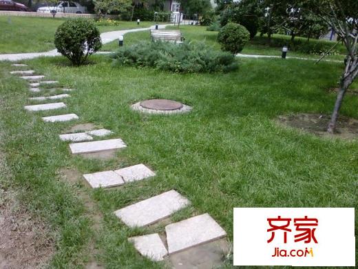 和泰园外景图花园小径