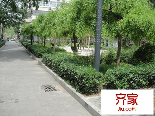 三里屯北小街外景图