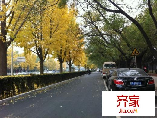 阜北小區(qū)外景圖 