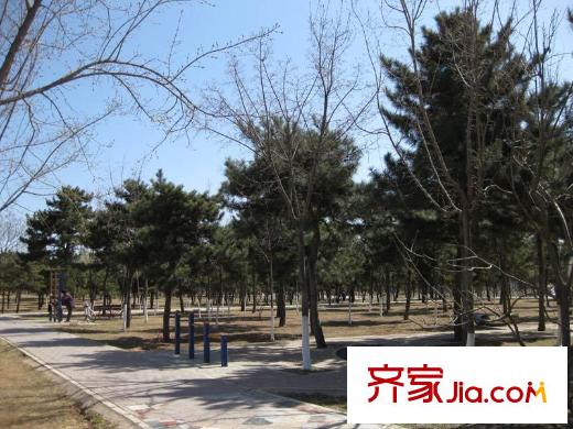 新景别墅配套图周边公园环境