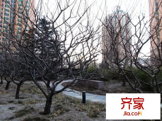 太阳园外景图