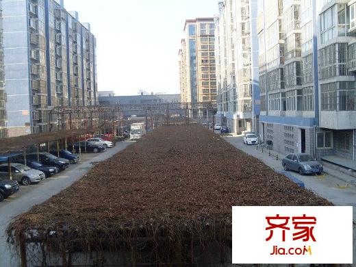 潼关小区外景图